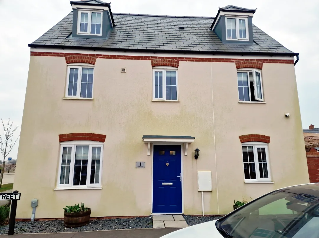 House render before cleaning - green algae on K-Rend