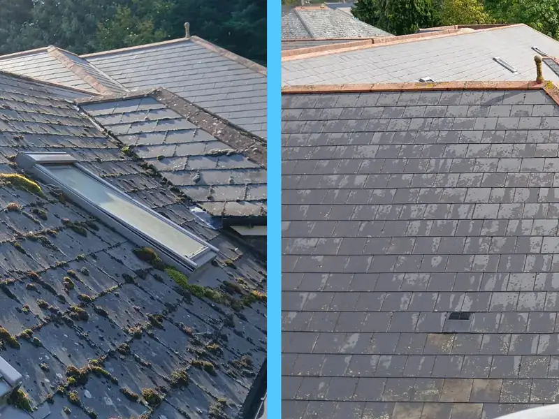 Commercial slate roof at a care home before and after cleaning with moss removed around the Velux windows
