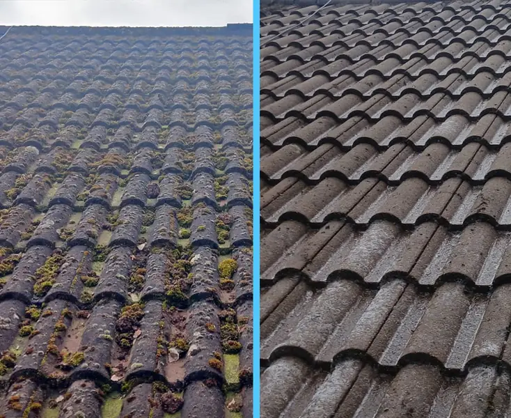 Concrete pantile roof before and after cleaning heavy green-black moss on the left and clean dark tile on the right