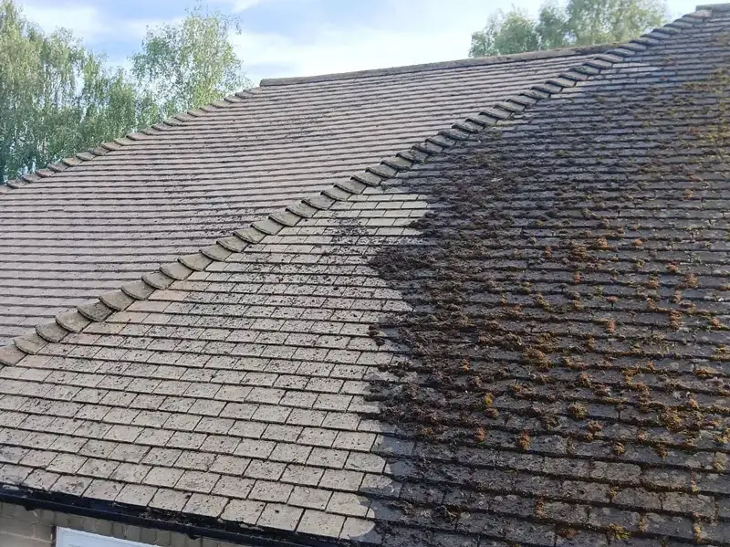 Close-up of one roof showing thick green moss on the right and clean grey tile on the left after moss removal
