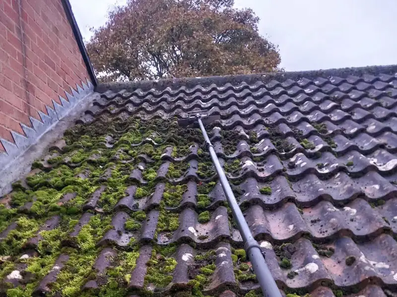 Thick green moss being scraped from a concrete pantile roof with a long-handled scraping tool