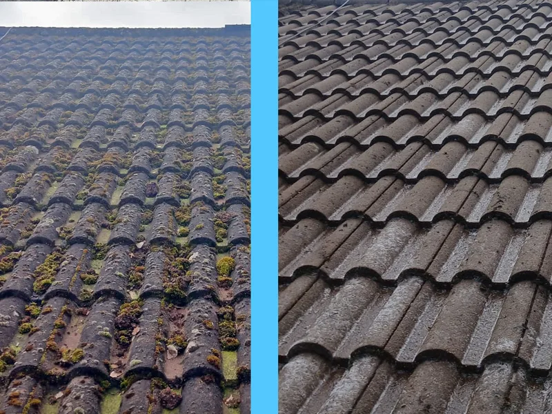 Roof after biocide treatment application