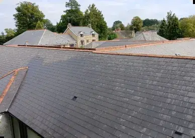 Roof Cleaning